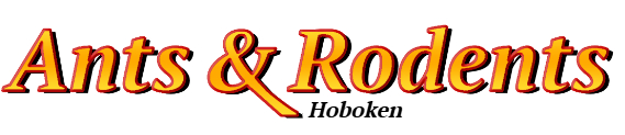 Hoboken Ant Exterminator & Rodent Control Company Logo